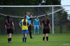 GCS_DSC_2010