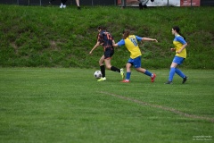 GCS_DSC_2046
