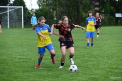 GCS_DSC_2168