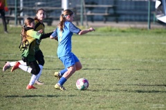 GCS_DSC_6041