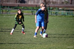 GCS_DSC_6045
