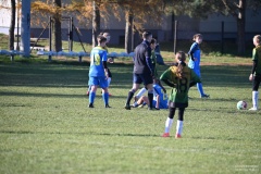 GCS_DSC_6132