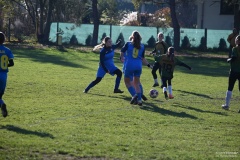 GCS_DSC_6152