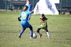 GCS_DSC_6167