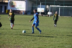 GCS_DSC_6231