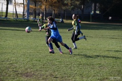 GCS_DSC_6289