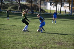GCS_DSC_6351