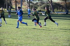 GCS_DSC_6354