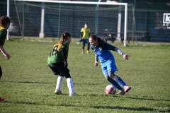 GCS_DSC_6381