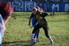 GCS_DSC_6473
