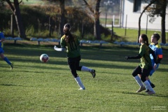 GCS_DSC_6483