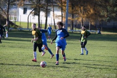 GCS_DSC_6523