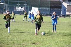 GCS_DSC_6539