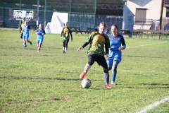 GCS_DSC_6540
