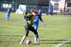 GCS_DSC_6543