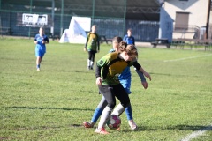 GCS_DSC_6545