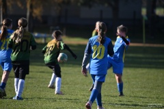 GCS_DSC_6619