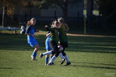 GCS_DSC_6655