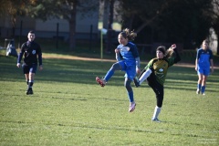 GCS_DSC_6686