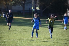 GCS_DSC_6687