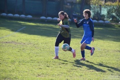 GCS_DSC_6690