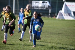 GCS_DSC_6769