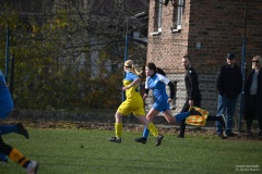 GCS_DSC_2930