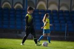 GCS_DSC_4014
