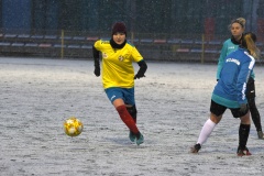 GCS_DSC_8142