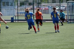 IMG_4480-2